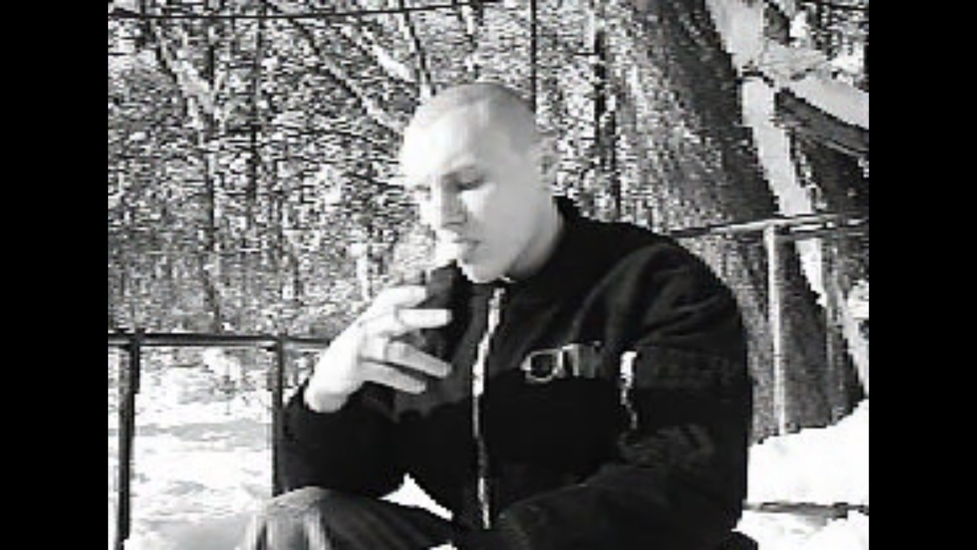 The Believer